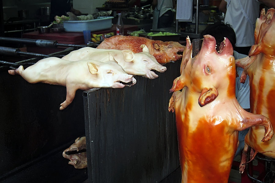 Suckling pigs; a Chinese favourite
