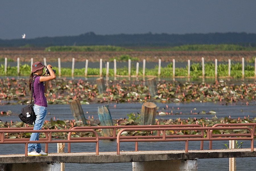 Thale Noi, Phattalung province, Thailand