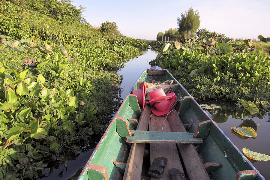Thale Noi, Phattalung province, Thailand