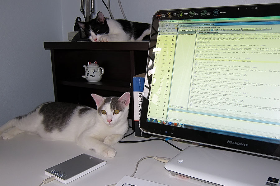 My old computer with my two writing assistants