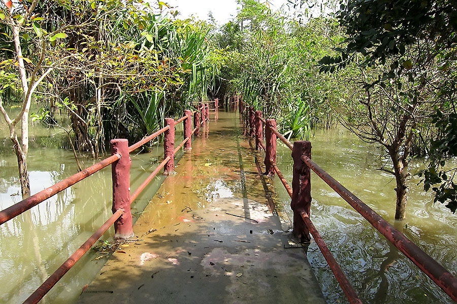 Walkway into nature