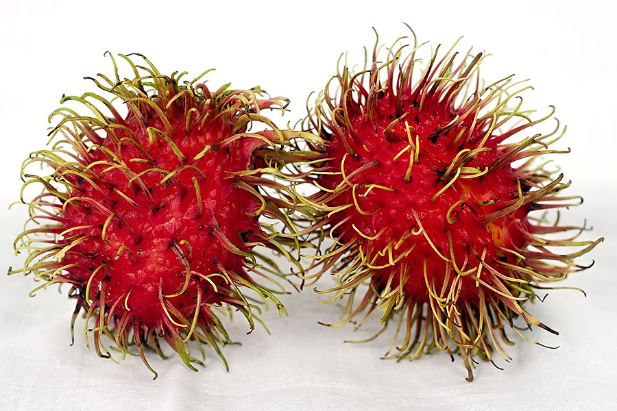 Rambutan fruit in Thailand