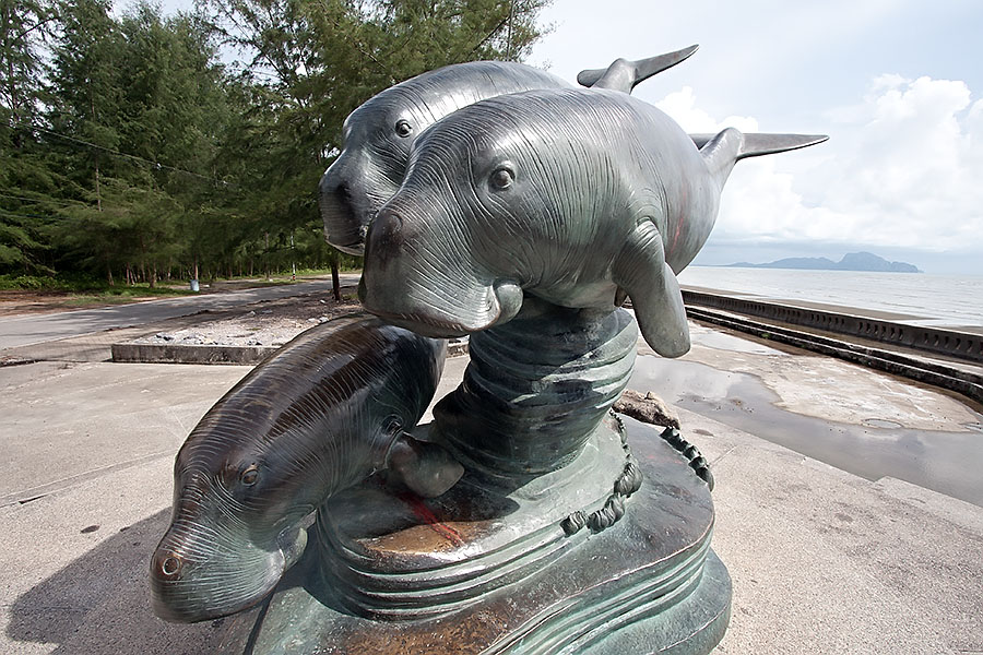 Trang is very proud of its dugongs