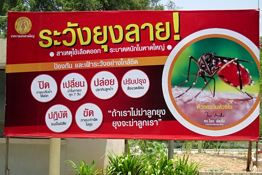Dengue Fever