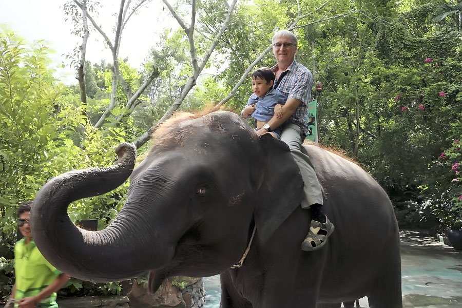 Elephant at Safari World, Bangkok