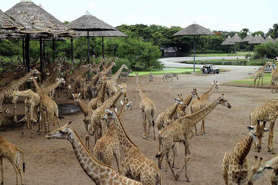Safari World, Bangkok, Thailand