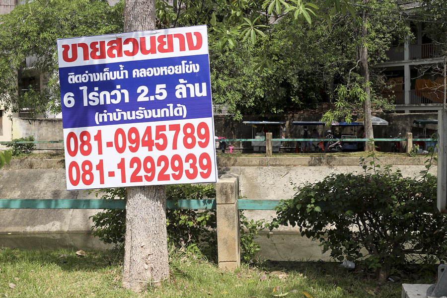 Rubber plantation for sale