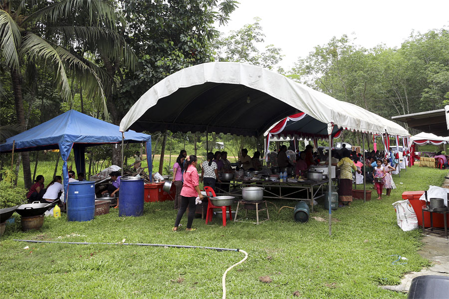 Getting married in a rubber plantation