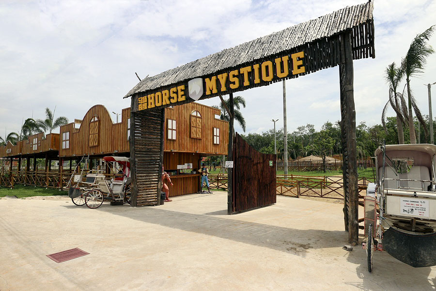 Horse Mystique, Asian Cultural Village, Dannok