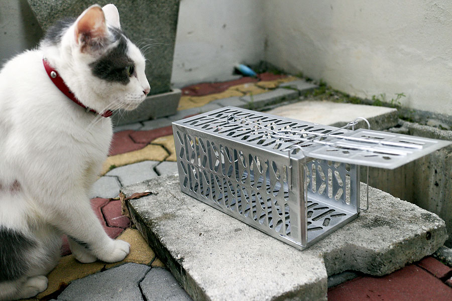 Rat trap