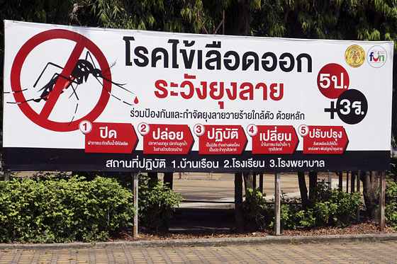 Sign warning of Dengue Fever, but Chikungunya symptoms are very similar