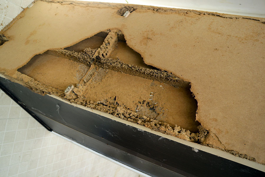 The termites had a feast in my house