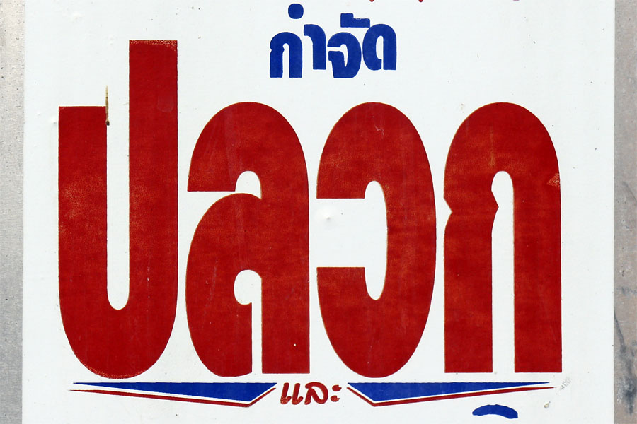 The Thai word for termite