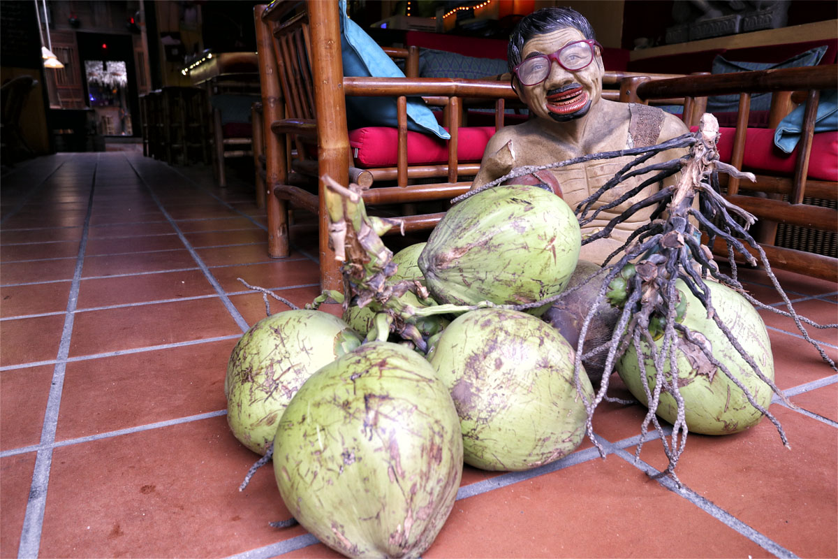 Coconuts, Hoi An, Vietnam