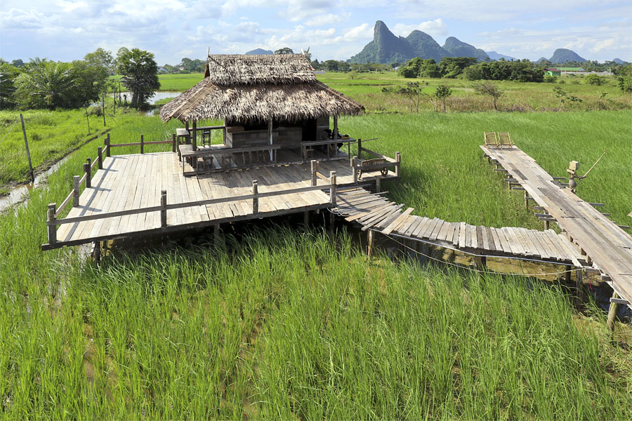 The Thai countryside in Phattalung province