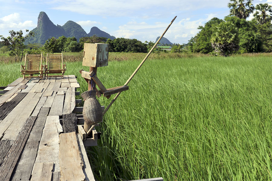 Gone fishing, Phattalung province