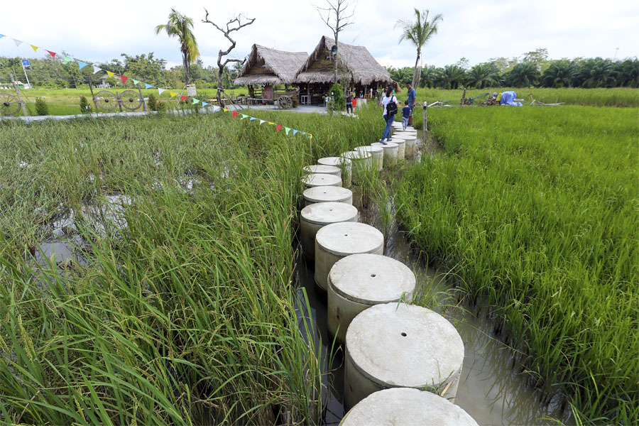 Naa Po Gair farm, Phattalung province