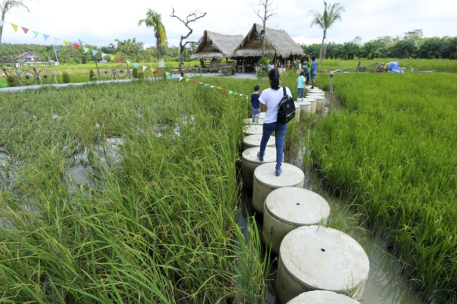 Naa Po Gair traditional farm, Phattalung