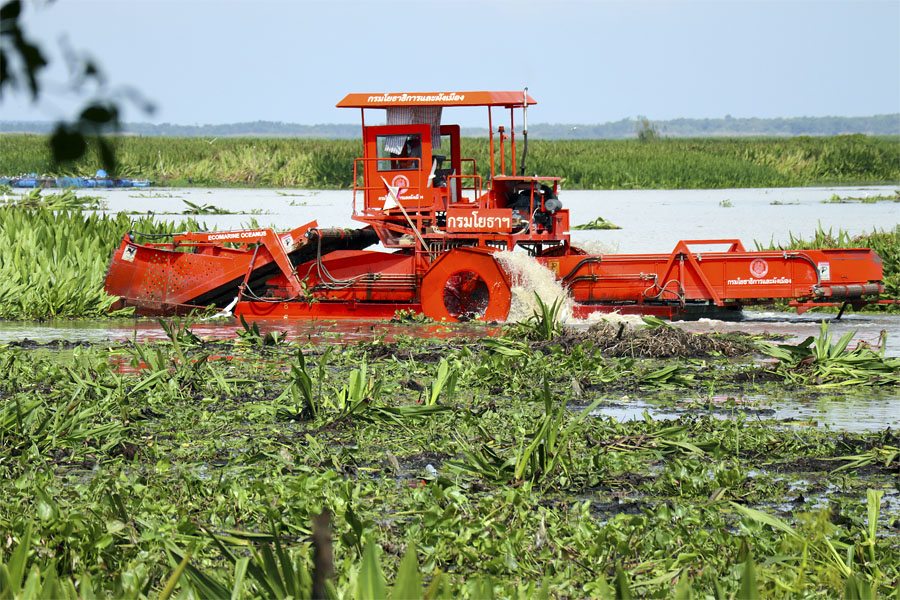Thale Noi, Phattalung province