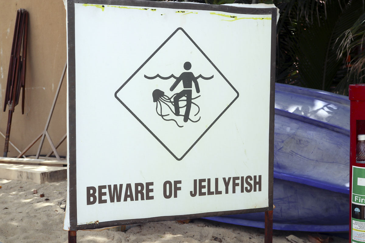 Sign on Lamai beach, Samui warning of jellyfish