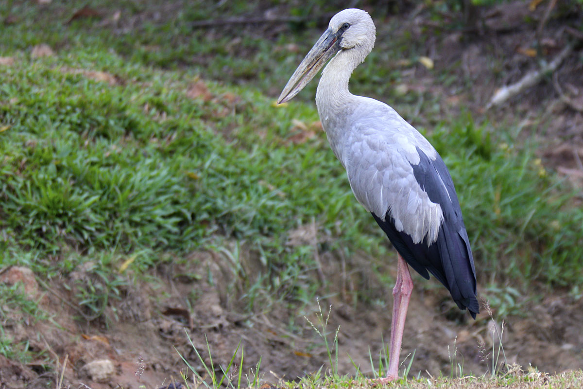 Canon EF-M 55-200mm f/4.5-f/6.3 | Focal length 145mm | EOS M6 | ISO: 200 | Aperture: f/6.3 | Shutter Speed: 1/40s
