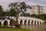Bridge at Chinese Gardens, Singapore with HDB flats in the background - Click for larger image