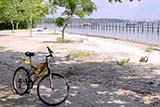 Renting a bike is a popular way to explore Pulau Ubin, Singapore - Click for larger image