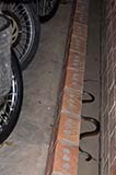 Snake in my apartment carpark - Click for larger image
