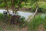 Bamboo bridge, Phattalung - Click for larger image
