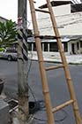 Bamboo ladders - Click for larger image