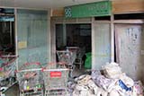 The Basil after the flood - Click for larger image