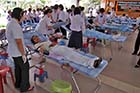 Thai blood donors - Click for larger image