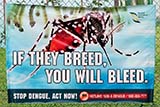 Dengue warning sign in Singapore - Click for larger image