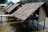 Dining out in Lampo - Click for larger image