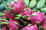 Dragonfruit is another fascinating tropical fruit - Click for larger image Dragonfruit is another fascinating tropical fruit - Click for larger image
