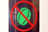 The smell of durian is so bad that it is banned from many hotels - Click for larger image The smell of durian is so bad that it is banned from many hotels - Click for larger image