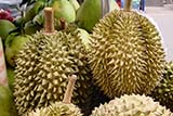 The smell of durian is so bad that it is banned from many hotels - Click for larger image The smell of durian is so bad that it is banned from many hotels - Click for larger image