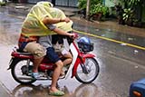 Staying dry - Click for larger image