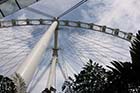 Singapore Flyer - Click for larger image
