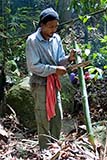 Making bamboo cups - Click for larger image