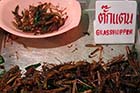 Fried grasshoppers - Click for larger image