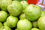 Guava fruit; the other kind of farang you will find in Thailand - Click for larger image Guava fruit; the other kind of farang you will find in Thailand - Click for larger image
