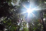 Start of the Thai hot season - Click for larger image
