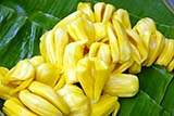 The prepared jackfruit that you see on sale gives no indication as to how large the actual fruits are - Click for larger image The prepared jackfruit that you see on sale gives no indication as to how large the actual fruits are - Click for larger image