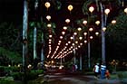 Chinese lanterns - Click for larger image