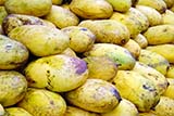 These particular mangoes look very soft and sweet - Click for larger image These particular mangoes look very soft and sweet - Click for larger image
