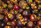 I don't mind mangosteen, the queen of fruits, but I still can't bring myself to try the king of fruits - Click for larger image I don't mind mangosteen, the queen of fruits, but I still can't bring myself to try the king of fruits - Click for larger image