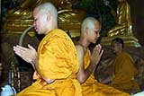 A Buddhist ordination ceremony that I attended in 2006  - Click for larger image