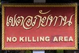 Sign at a Buddhist temple in Chiang Rai - Click for larger image