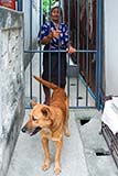 Old Thai lady and dog - Click for larger image